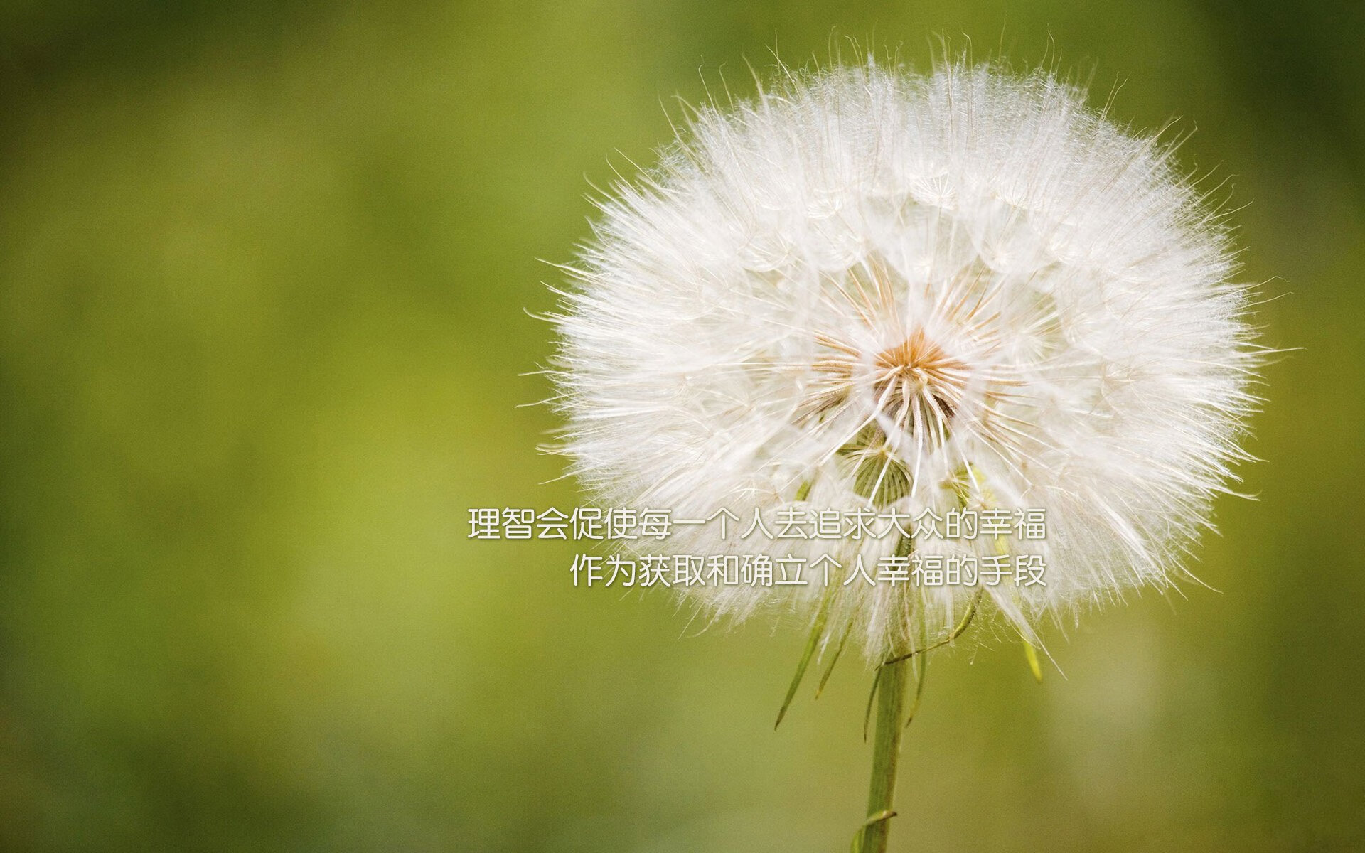 铁矿石提取铁精粉工艺原理(铁矿石提炼铁精粉需要什么程序)