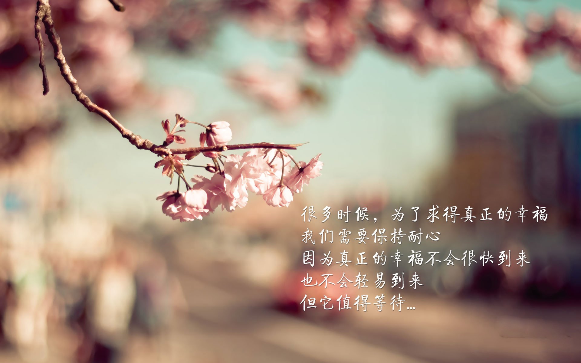 铁矿石新浪(铁矿石 新浪)